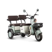 Электротрицикл Rutrike Gelbert Beta 48V/60V 800Вт (Зелено-белый-3030)