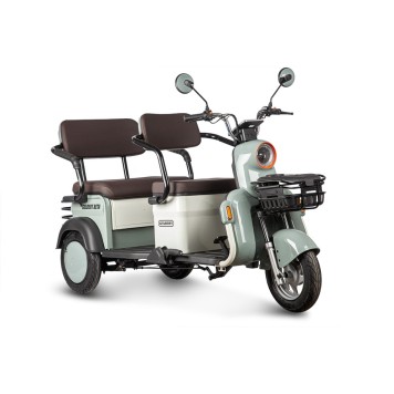 Электротрицикл Rutrike Gelbert Beta 48V/60V 800Вт (Зелено-белый-3030)