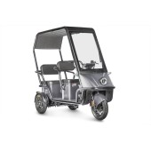 Электротрицикл Wanshida NIPLA 500 60V 1000Вт (черно-серый-3085)