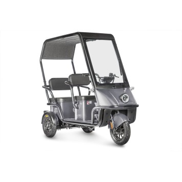Электротрицикл Wanshida NIPLA 500 60V 1000Вт (черно-серый-3085)