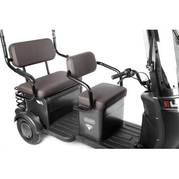 Электротрицикл Rutrike Gelbert Bos 48V/60V 800Вт (Черный-3033)-4