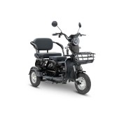 Электротрицикл Rutrike Бумеранг (Черный-2340)