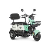 Электротрицикл Rutrike Gelbert Vega 48V/60V 600Вт (Зеленый-3065)