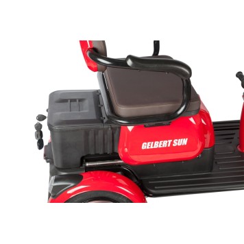 Электротрицикл Rutrike Gelbert Sun 48V/60V 650Вт (Фиолетово-белый-3060)-11