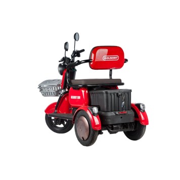 Электротрицикл Rutrike Gelbert Sun 48V/60V 650Вт (Фиолетово-белый-3060)-9