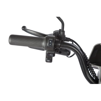 Электротрицикл Rutrike Gelbert Sun 48V/60V 650Вт (Фиолетово-белый-3060)-2