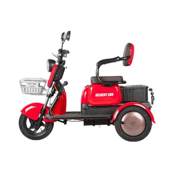 Электротрицикл Rutrike Gelbert Sun 48V/60V 650Вт (Фиолетово-белый-3060)-6