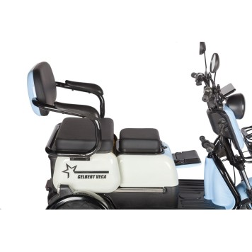 Электротрицикл Rutrike Gelbert Vega 48V/60V 600Вт (Фиолетовый-3067)-3