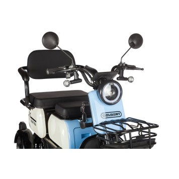Электротрицикл Rutrike Gelbert Vega 48V/60V 600Вт (Фиолетовый-3067)-5