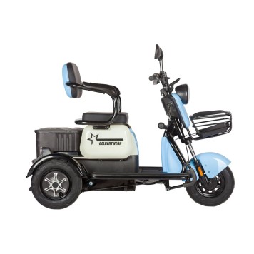 Электротрицикл Rutrike Gelbert Vega 48V/60V 600Вт (Фиолетовый-3067)-6