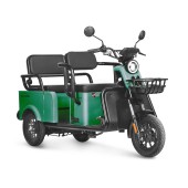 Электротрицикл Wanshida LC-F150 60V 1000Вт (Зеленый-3078)