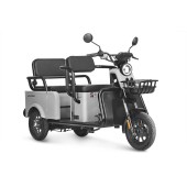 Электротрицикл Wanshida LC-F150 60V 1000Вт (Серый-3079)