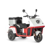 Электротрицикл Wanshida DOUHAO 60V 800Вт (Черно-бело-красный-3069)