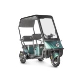 Электротрицикл Wanshida NIPLA 500 60V 1000Вт (Черно-зеленый-3084)