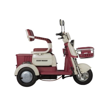 Электротрицикл Rutrike Gelbert Mercury 48V/60V 650Вт (Бело-красный-3050)-14