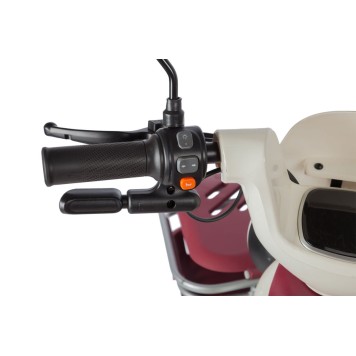 Электротрицикл Rutrike Gelbert Mercury 48V/60V 650Вт (Бело-красный-3050)-11