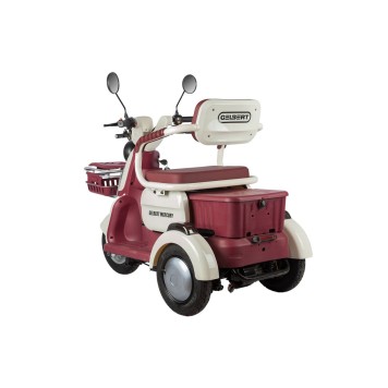 Электротрицикл Rutrike Gelbert Mercury 48V/60V 650Вт (Бело-красный-3050)-6
