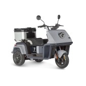 Электротрицикл Wanshida DOUHAO 60V 800Вт (черно-серый-3068)