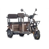 Электротрицикл Wanshida U1-X 60V 800Вт (Коричневый-3093)