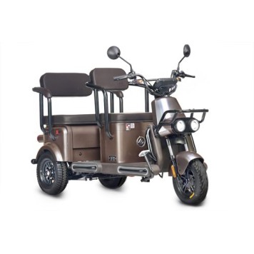 Электротрицикл Wanshida U1-X 60V 800Вт (Коричневый-3093)