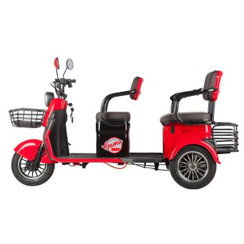 Электротрицикл Rutrike Gelbert Kappa 48V/60V 650Вт (Красный-3044)-3