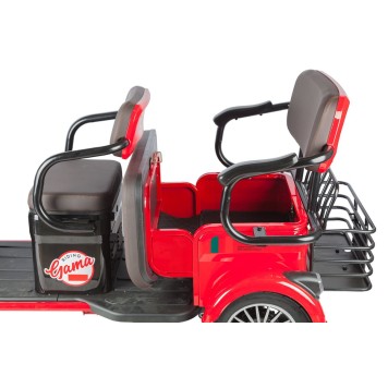 Электротрицикл Rutrike Gelbert Kappa 48V/60V 650Вт (Красный-3044)-15