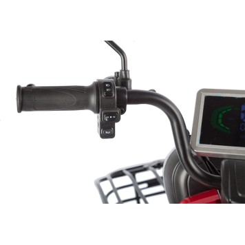 Электротрицикл Rutrike Gelbert Kappa 48V/60V 650Вт (Красный-3044)-8