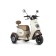 Электротрицикл Rutrike Gelbert Ogma 48V/60V 650Вт (Бело-коричневый-3052)