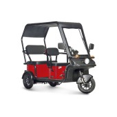 Электротрицикл Wanshida NIPLA 570 60V 1000Вт (Красный-3091)