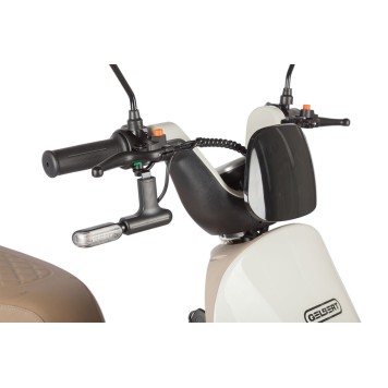Электротрицикл Rutrike Gelbert Ogma 48V/60V 650Вт (Бело-коричневый-3052)-4