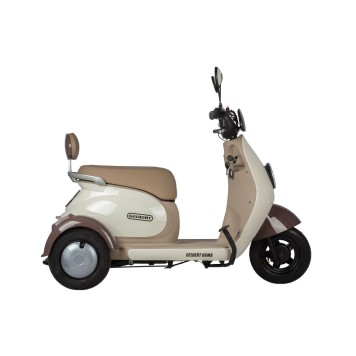 Электротрицикл Rutrike Gelbert Ogma 48V/60V 650Вт (Бело-коричневый-3052)-1