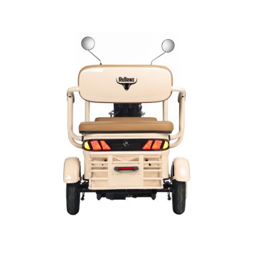 Электротрицикл Rutrike Gelbert Atlas 48V/60V 600Вт (Бежевый-3023)-6