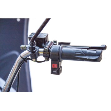 Грузовой электротрицикл Rutrike Глобус 1500 60V/1000W (Черный матовый-3320)-12