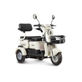 Электротрицикл Rutrike Gelbert Mercury 48V/60V 650Вт (Черный-3047)