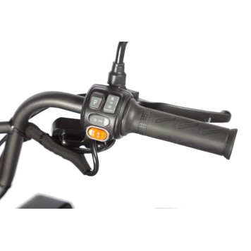Электротрицикл Wanshida LC300 60V 1000Вт (Черный-3075)-12