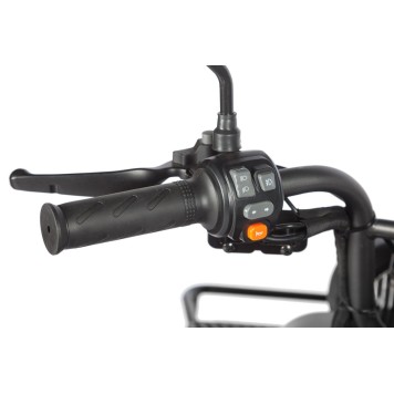 Электротрицикл Wanshida LC300 60V 1000Вт (Черный-3075)-1