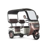 Электротрицикл Rutrike Gelbert Sarin 48V/60V 1000Вт (Коричнево-белый-3054)