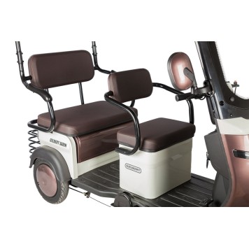 Электротрицикл Rutrike Gelbert Sarin 48V/60V 1000Вт (Коричнево-белый-3054)-5