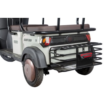 Электротрицикл Rutrike Gelbert Sarin 48V/60V 1000Вт (Коричнево-белый-3054)-7