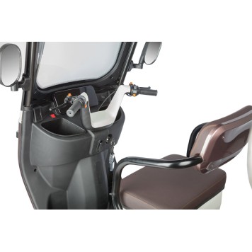 Электротрицикл Rutrike Gelbert Sarin 48V/60V 1000Вт (Коричнево-белый-3054)-11