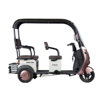 Электротрицикл Rutrike Gelbert Sarin 48V/60V 1000Вт (Коричнево-белый-3054)-12