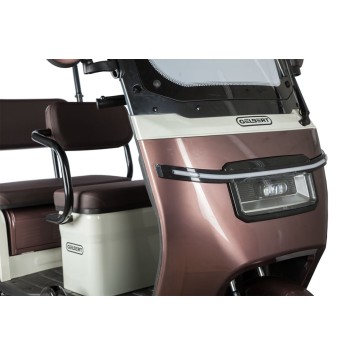 Электротрицикл Rutrike Gelbert Sarin 48V/60V 1000Вт (Коричнево-белый-3054)-2