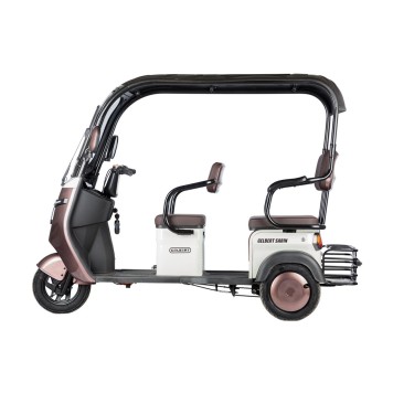 Электротрицикл Rutrike Gelbert Sarin 48V/60V 1000Вт (Коричнево-белый-3054)-13