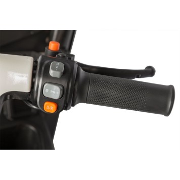 Электротрицикл Rutrike Gelbert Sarin 48V/60V 1000Вт (Коричнево-белый-3054)-1