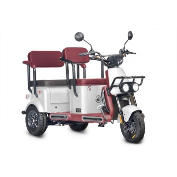 Электротрицикл Wanshida U1-X 60V 800Вт (Белый-3097)