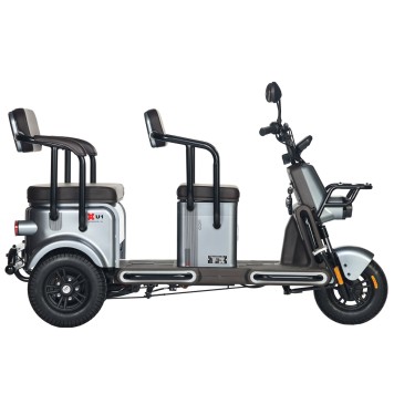 Электротрицикл Wanshida U1-X 60V 800Вт (Коричневый-3093)-3
