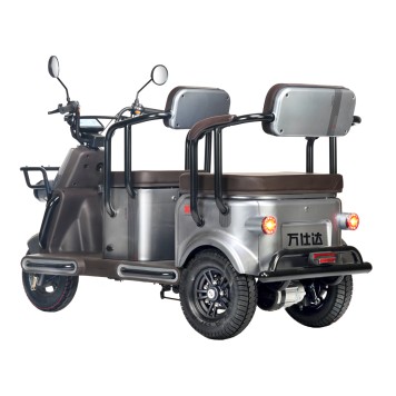 Электротрицикл Wanshida U1-X 60V 800Вт (Коричневый-3093)-6