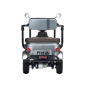 Электротрицикл Wanshida U1-X 60V 800Вт (Коричневый-3093)-2