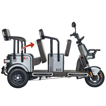 Электротрицикл Wanshida U1-X 60V 800Вт (Коричневый-3093)-8