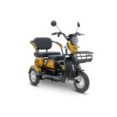 Электротрицикл Rutrike Бумеранг (Золотистый-3243)